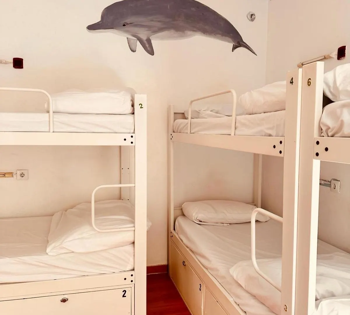 Mediterranean Hostel Barcelona Spain